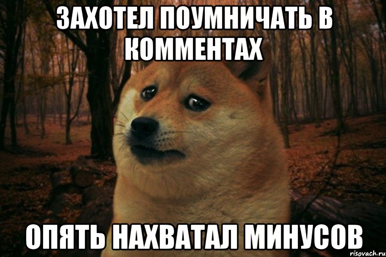 захотел поумничать в комментах опять нахватал минусов, Мем SAD DOGE