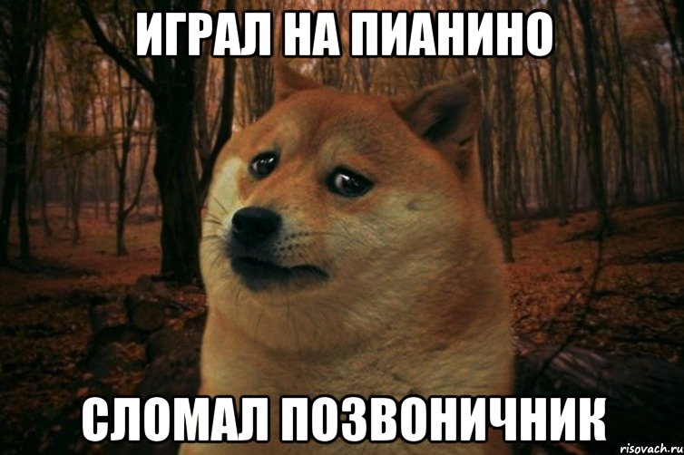 играл на пианино сломал позвоничник, Мем SAD DOGE