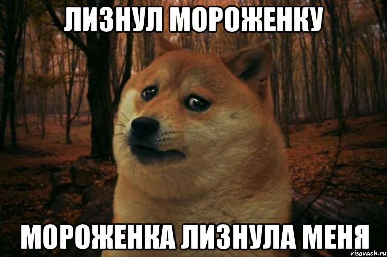 ЛИЗНУЛ МОРОЖЕНКУ МОРОЖЕНКА ЛИЗНУЛА МЕНЯ, Мем SAD DOGE