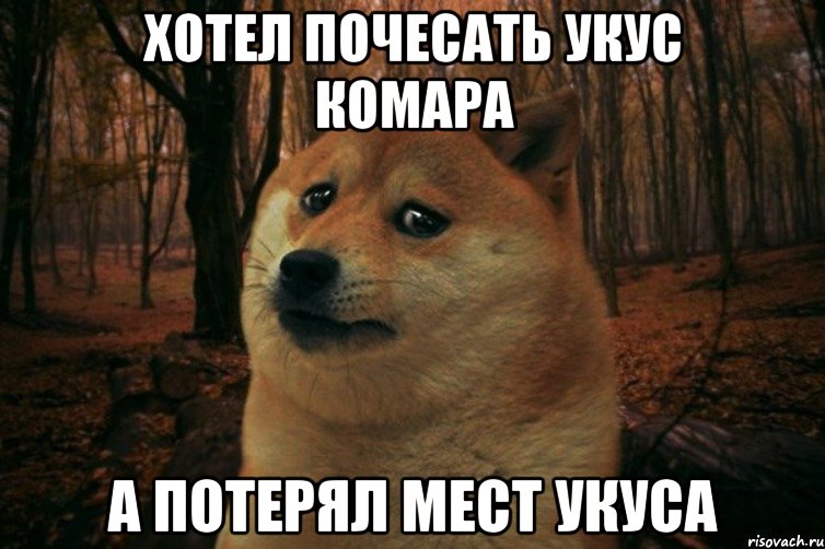 Хотел почесать укус комара А потерял мест укуса, Мем SAD DOGE