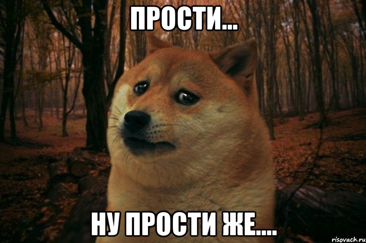 Прости... Ну прости же...., Мем SAD DOGE