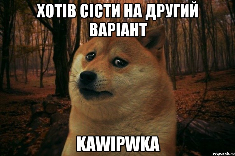 хотів сісти на другий варіант kawipwka, Мем SAD DOGE