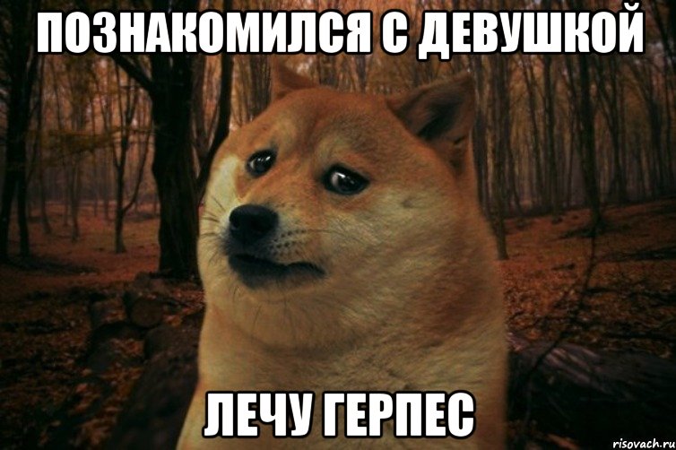 ПОЗНАКОМИЛСЯ С ДЕВУШКОЙ ЛЕЧУ ГЕРПЕС, Мем SAD DOGE