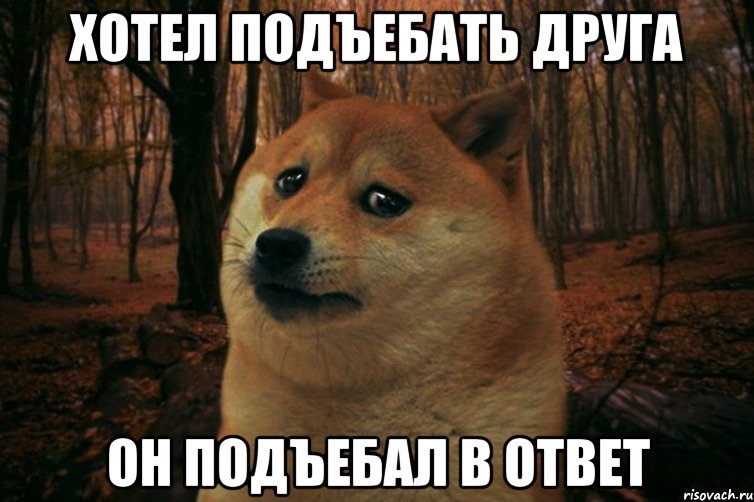 хотел подъебать друга он подъебал в ответ, Мем SAD DOGE