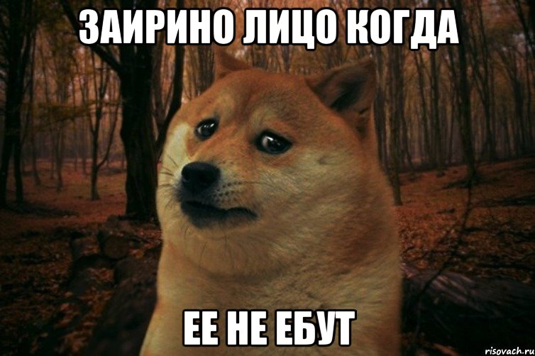 Заирино лицо когда ее не ебут, Мем SAD DOGE