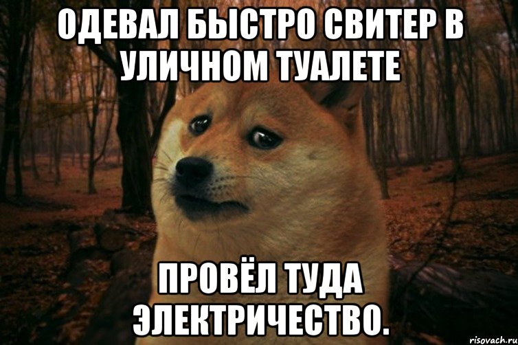 Одевал быстро свитер в уличном туалете Провёл туда электричество., Мем SAD DOGE