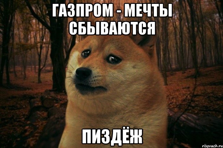 ГАЗПРОМ - МЕЧТЫ СБЫВАЮТСЯ ПИЗДЁЖ, Мем SAD DOGE