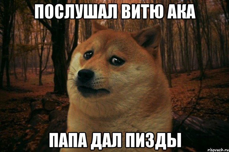 послушал витю ака папа дал пизды, Мем SAD DOGE