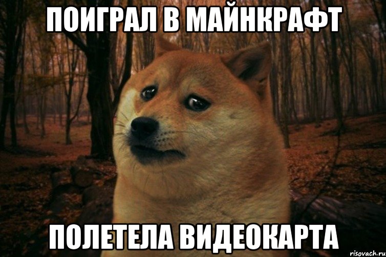 поиграл в майнкрафт полетела видеокарта, Мем SAD DOGE