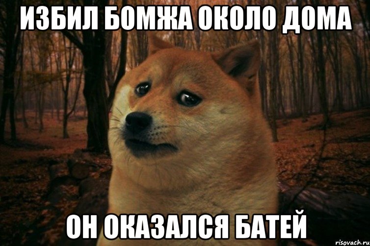 избил бомжа около дома он оказался батей, Мем SAD DOGE