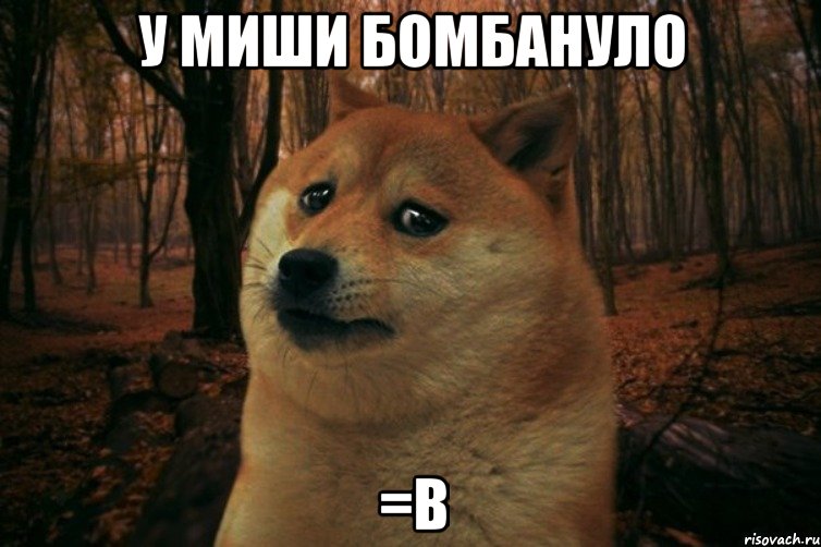 У Миши бомбануло =В, Мем SAD DOGE