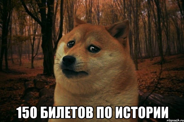  150 билетов по истории, Мем SAD DOGE