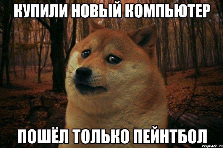 Купили новый компьютер Пошёл только пейнтбол, Мем SAD DOGE