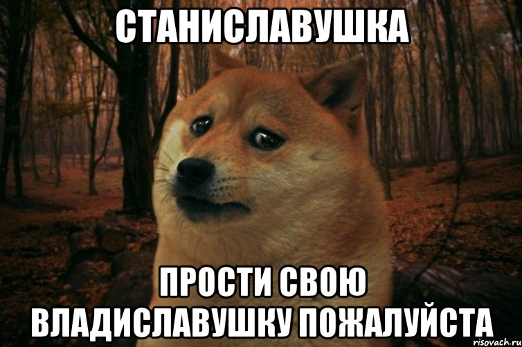 Станиславушка Прости свою Владиславушку пожалуйста, Мем SAD DOGE