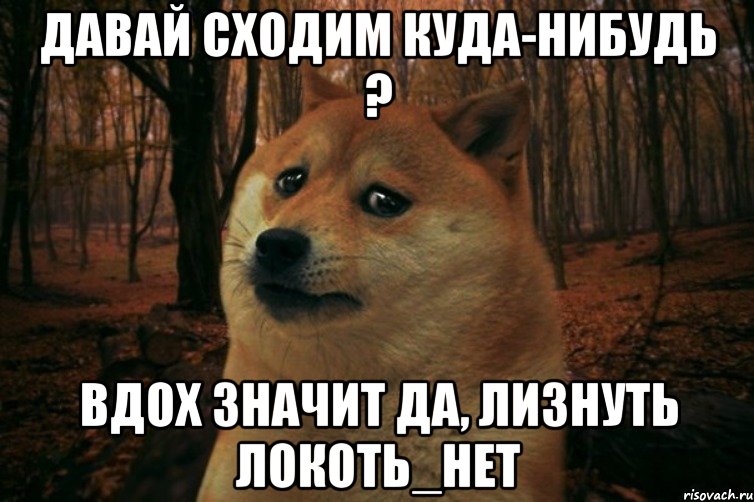 давай сходим куда-нибудь ? вдох значит да, лизнуть локоть_нет, Мем SAD DOGE