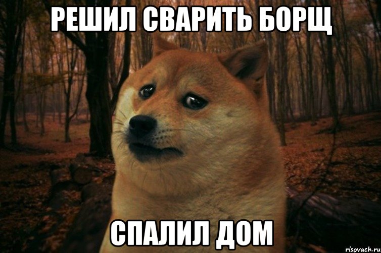 решил сварить борщ спалил дом, Мем SAD DOGE