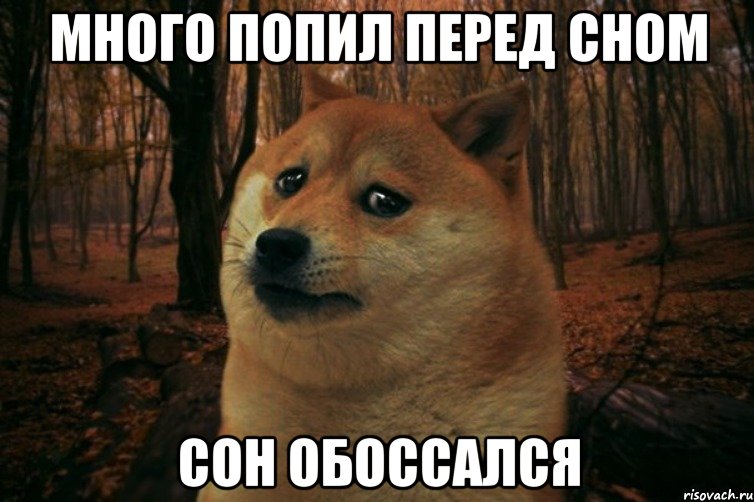 Много попил перед сном сон обоссался, Мем SAD DOGE