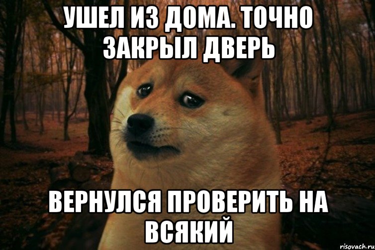 ушел из дома. точно закрыл дверь вернулся проверить на всякий, Мем SAD DOGE