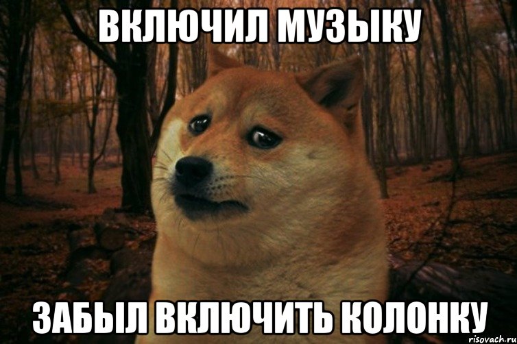 включил музыку забыл включить колонку, Мем SAD DOGE