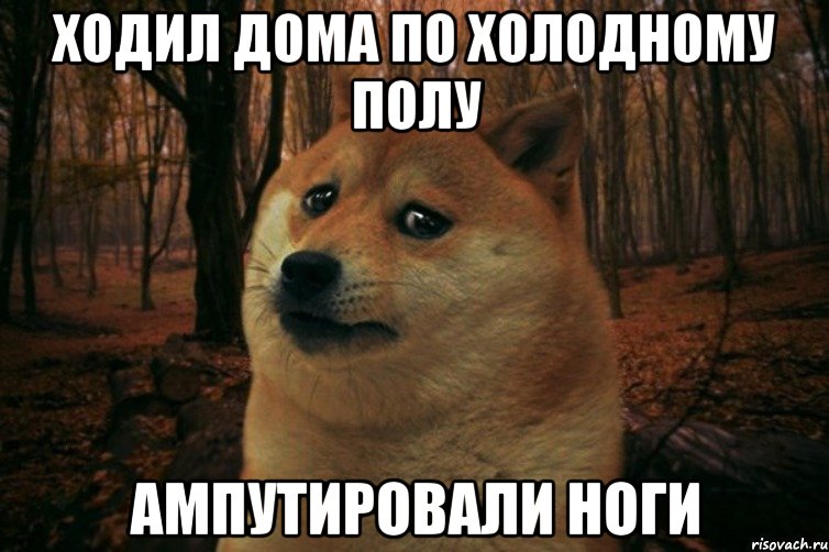 Ходил дома по холодному полу Ампутировали ноги, Мем SAD DOGE