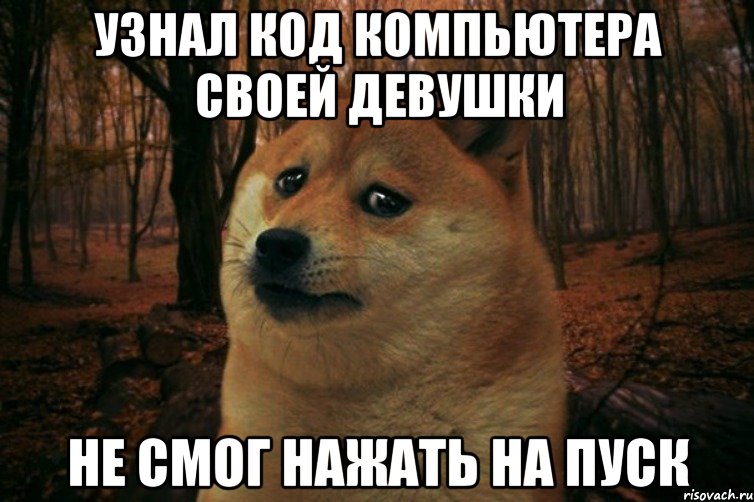 Узнал код компьютера своей девушки Не смог нажать на пуск, Мем SAD DOGE