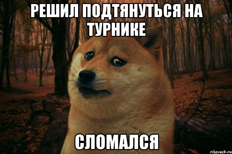 Решил подтянуться на турнике Сломался, Мем SAD DOGE