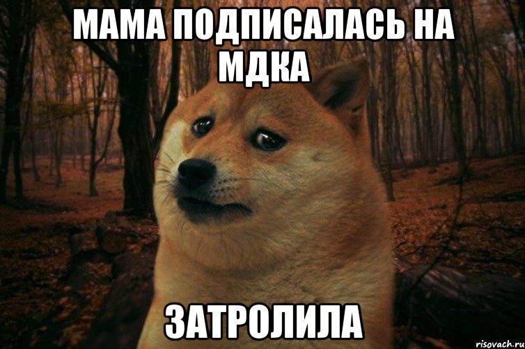 Мама подписалась на мдка затролила, Мем SAD DOGE