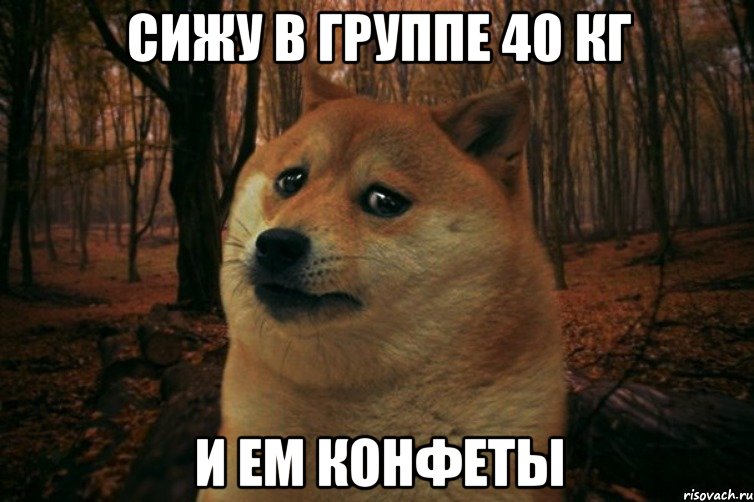 Сижу в группе 40 кг и ем конфеты, Мем SAD DOGE