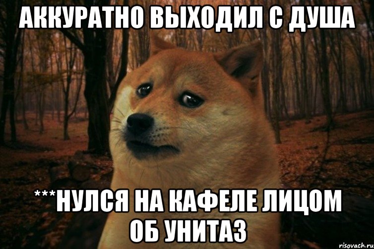 АККУРАТНО ВЫХОДИЛ С ДУША ***НУЛСЯ НА КАФЕЛЕ ЛИЦОМ ОБ УНИТАЗ, Мем SAD DOGE