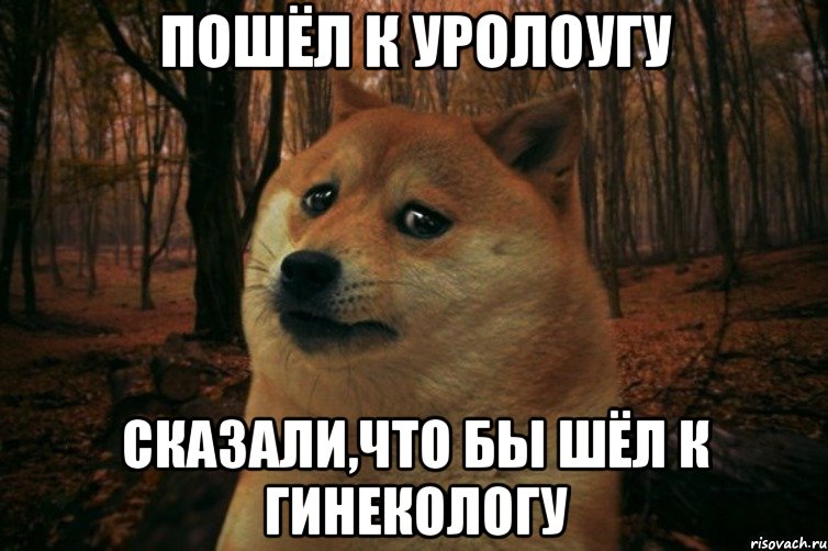 Пошёл к уролоугу Сказали,что бы шёл к гинекологу, Мем SAD DOGE