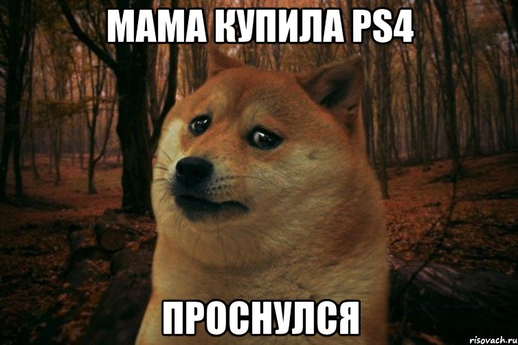 Мама купила PS4 проснулся, Мем SAD DOGE