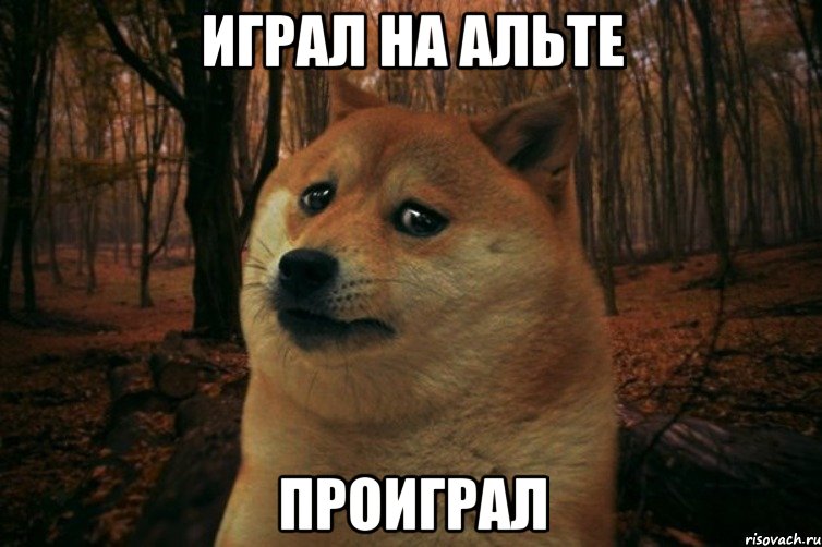 ИГРАЛ НА АЛЬТЕ ПРОИГРАЛ, Мем SAD DOGE