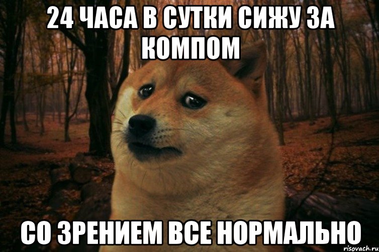 24 часа в сутки сижу за компом со зрением все нормально, Мем SAD DOGE