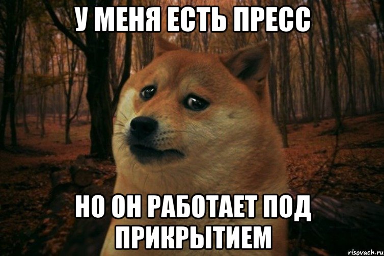 у меня есть пресс но он работает под прикрытием, Мем SAD DOGE