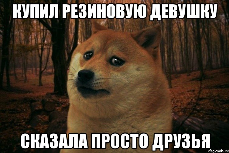 Купил резиновую девушку сказала просто друзья, Мем SAD DOGE