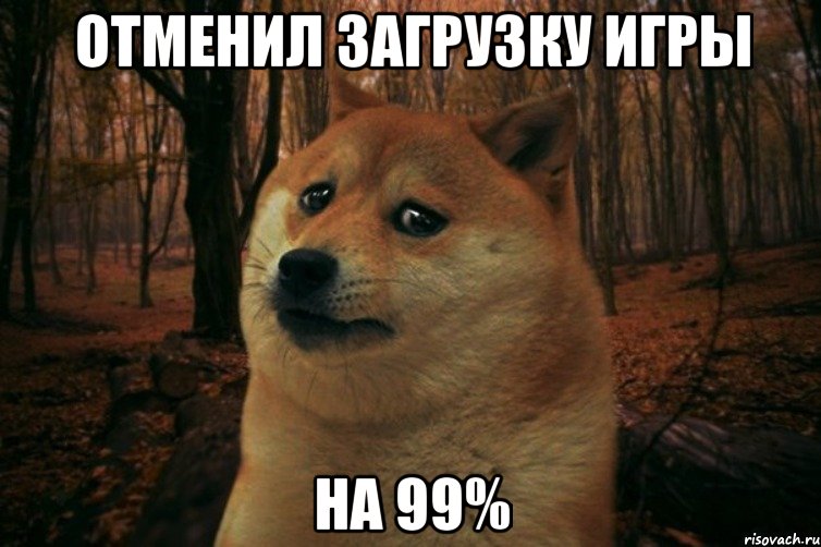 Отменил загрузку игры На 99%, Мем SAD DOGE