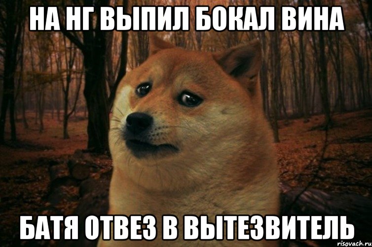 на нг выпил бокал вина батя отвез в вытезвитель, Мем SAD DOGE