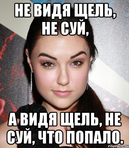 Не видя щель, не суй, а видя щель, не суй, что попало., Мем  Саша Грей улыбается