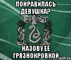 Понравилась девушка? Назову ее грязнокровкой, Мем Слизерин