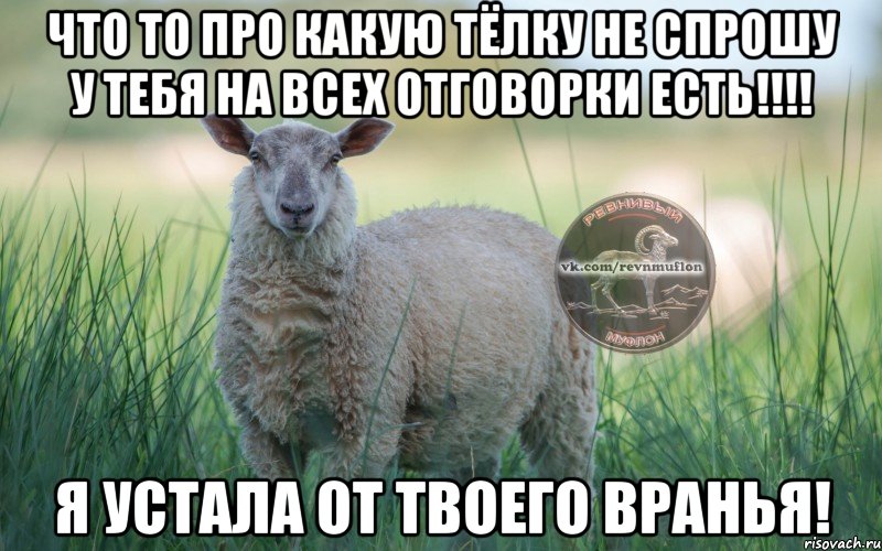 Что то про какую тёлку не спрошу у тебя на всех отговорки есть!!!! я устала от твоего вранья!