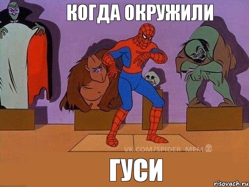 Гуси Когда окружили