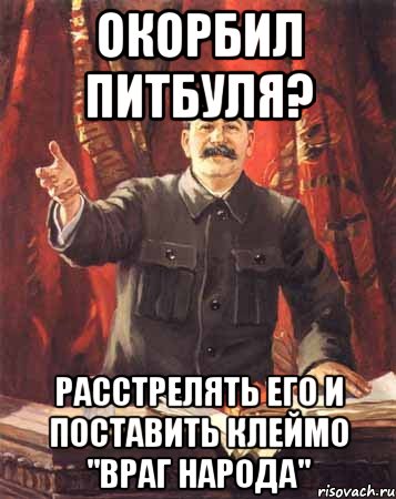 Окорбил Питбуля? Расстрелять его и поставить клеймо "враг народа", Мем  сталин цветной