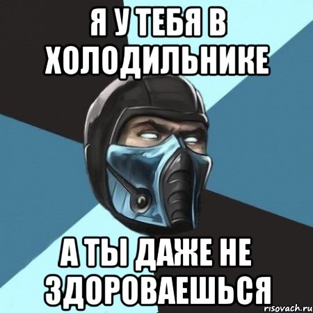 Я у тебя в холодильнике А ты даже не здороваешься, Мем Саб-Зиро