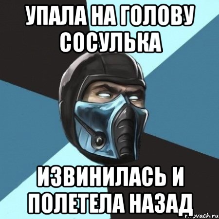 упала на голову сосулька извинилась и полетела назад, Мем Саб-Зиро