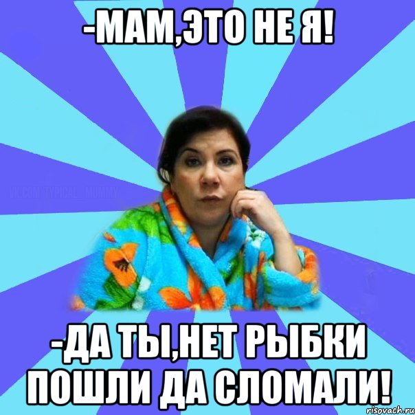 -мам,это не я! -да ты,нет рыбки пошли да сломали!, Мем типичная мама