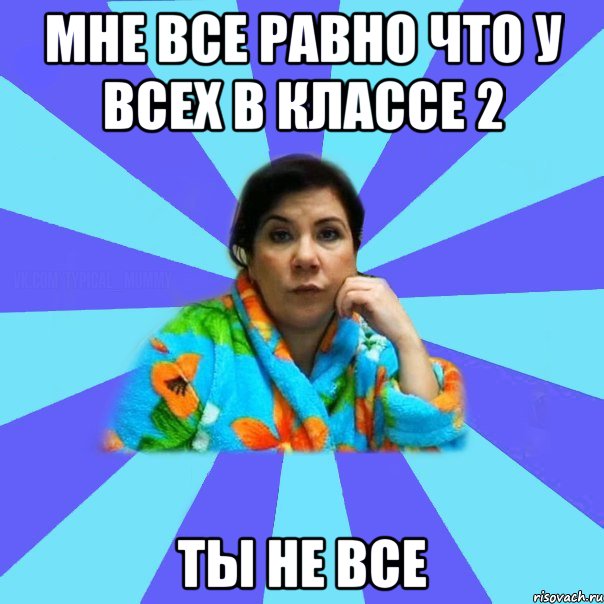 Мне все равно что у всех в классе 2 ты не все, Мем типичная мама