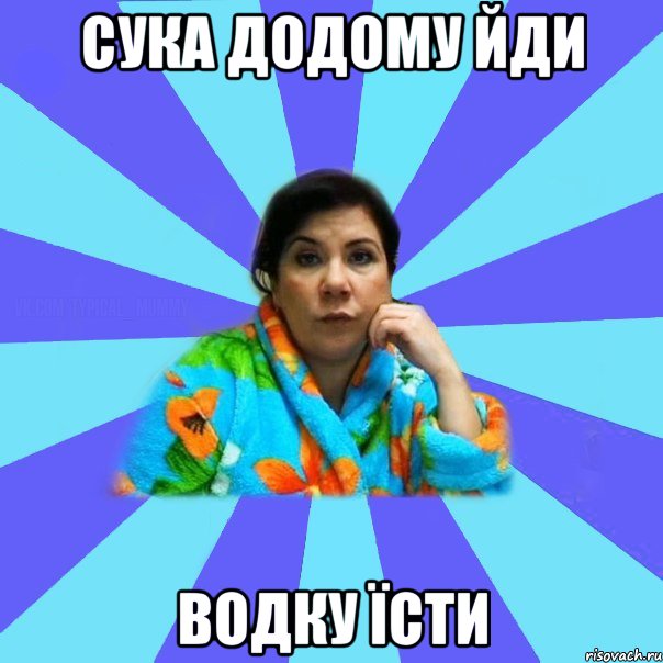 сука додому йди водку їсти, Мем типичная мама