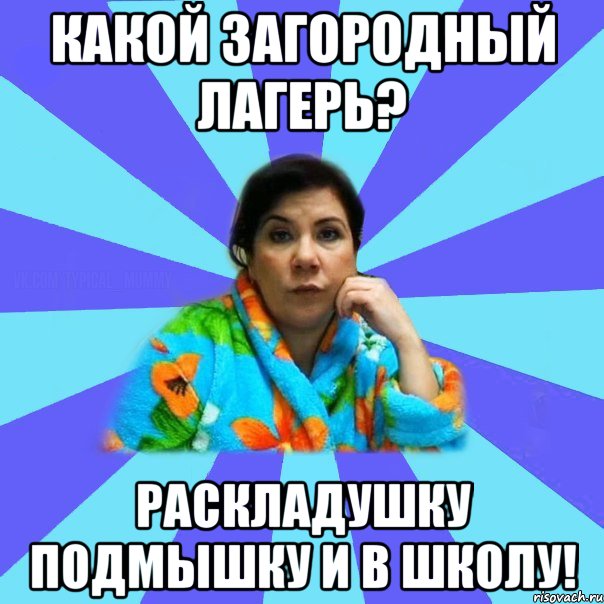 Какой загородный лагерь? раскладушку подмышку и в школу!, Мем типичная мама