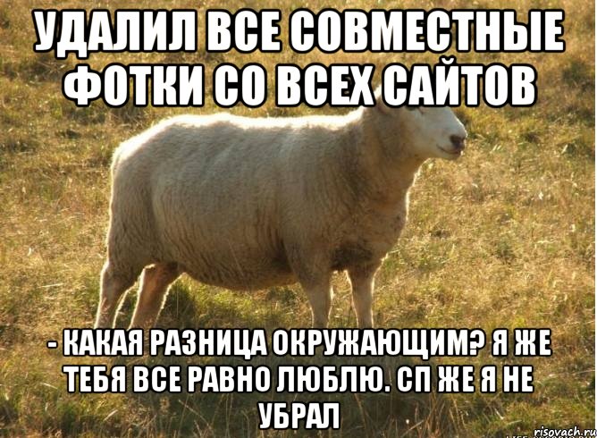 Удалил все совместные фотки со всех сайтов - Какая разница окружающим? Я же тебя все равно люблю. СП же я не убрал, Мем Типичная овца