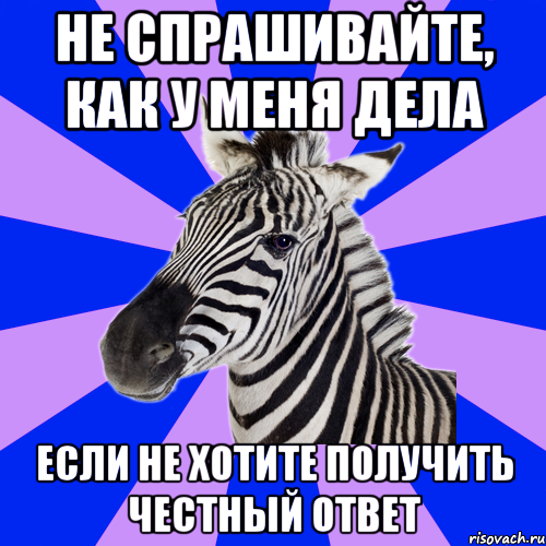 Расскажи как дела. У меня дела Мем. Не спрашивайте как у меня дела. Не надо спрашивать как у меня дела. Как у меня дела.